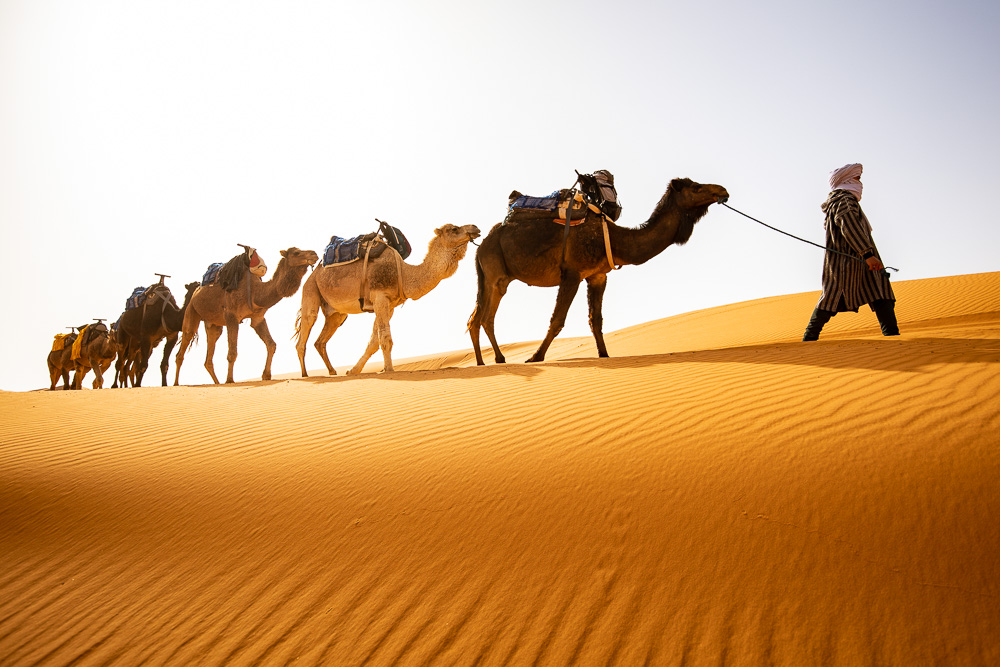 Marocco, Sahara desert, Chefchaouen e Fes